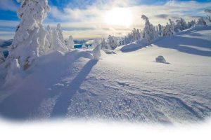 a picture of trees covered in snow from the top of Big Mountain