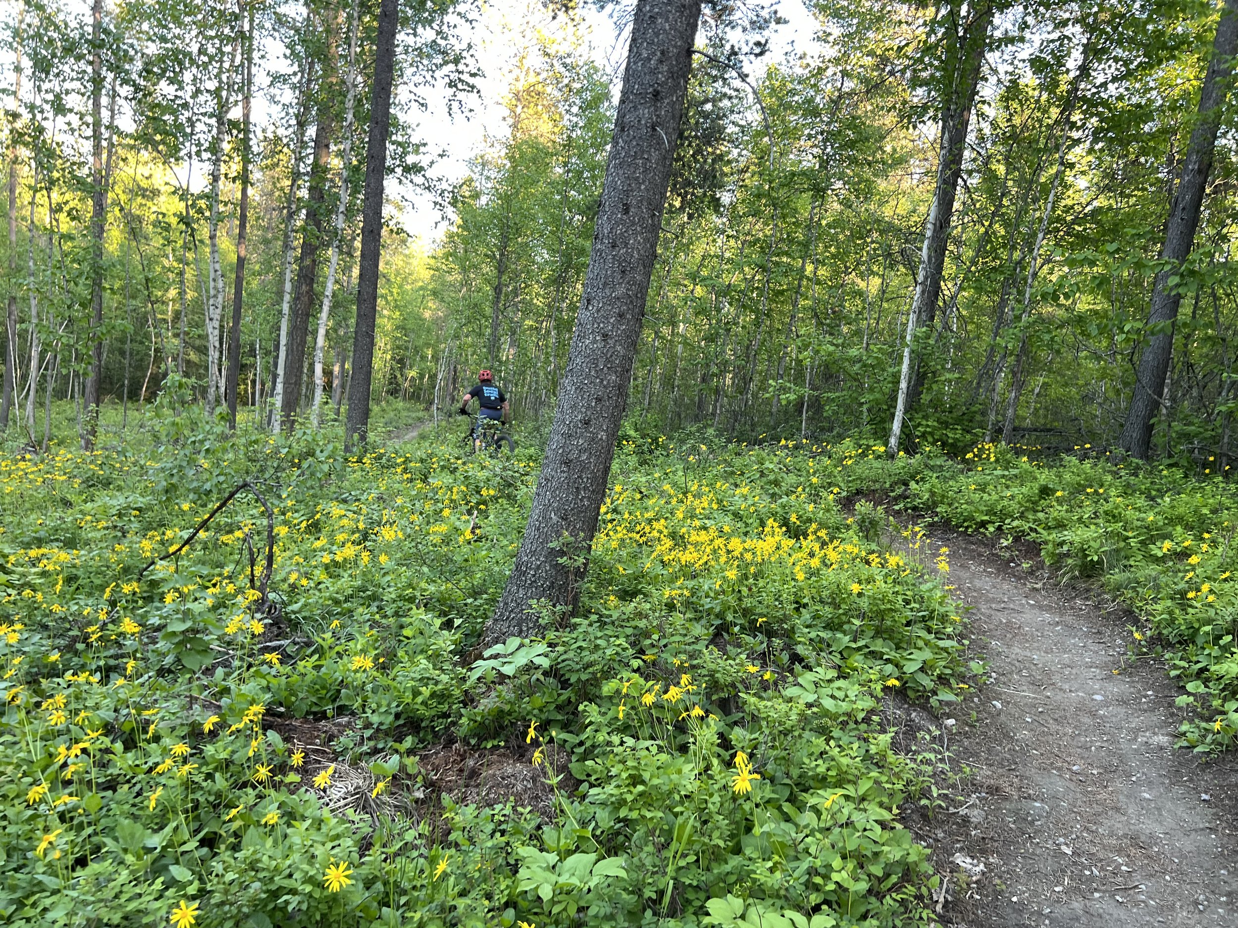 Biker riding away from camera while on Cedar Flats trail system