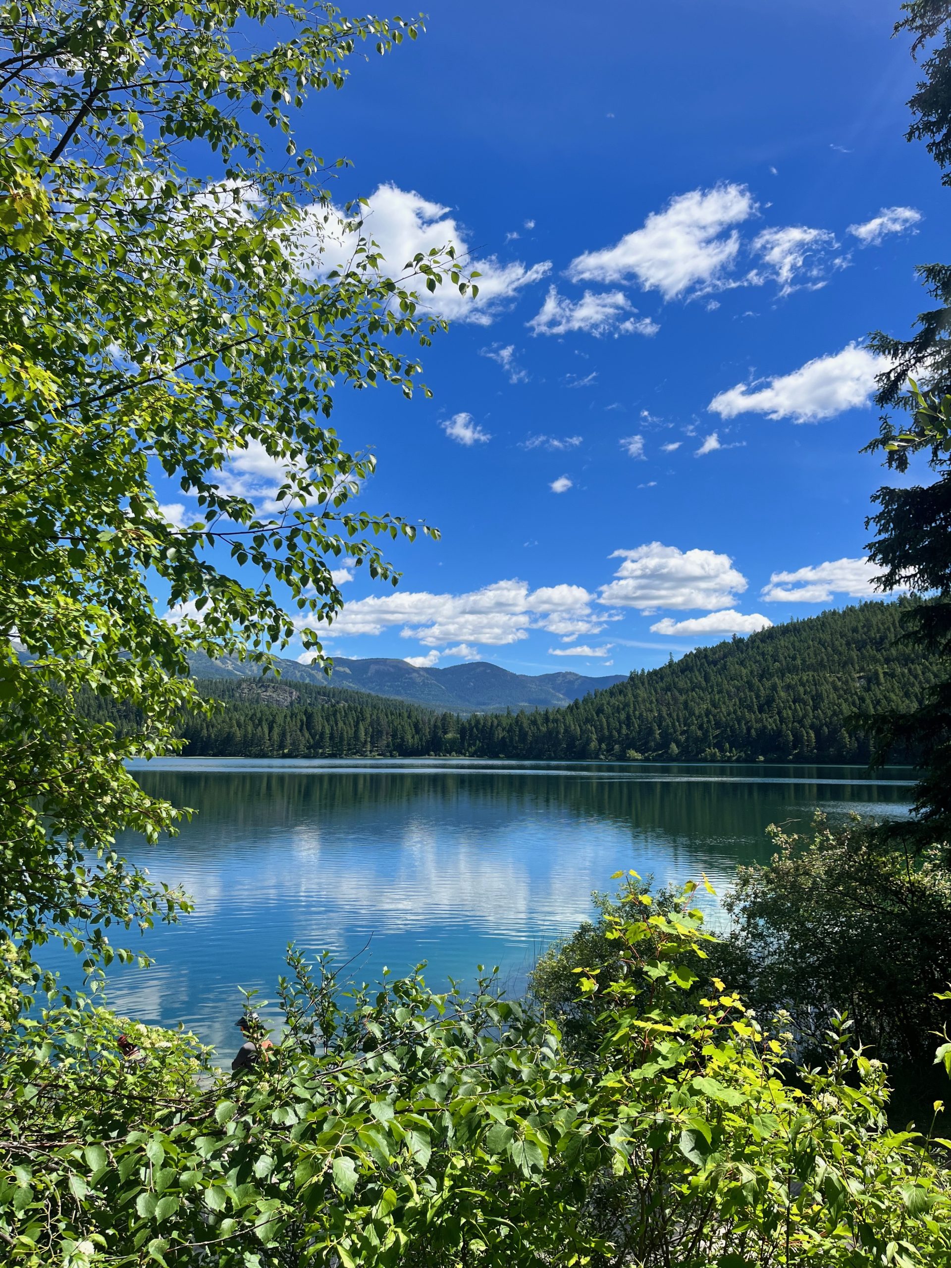 View of beaver lake from the boat ramp