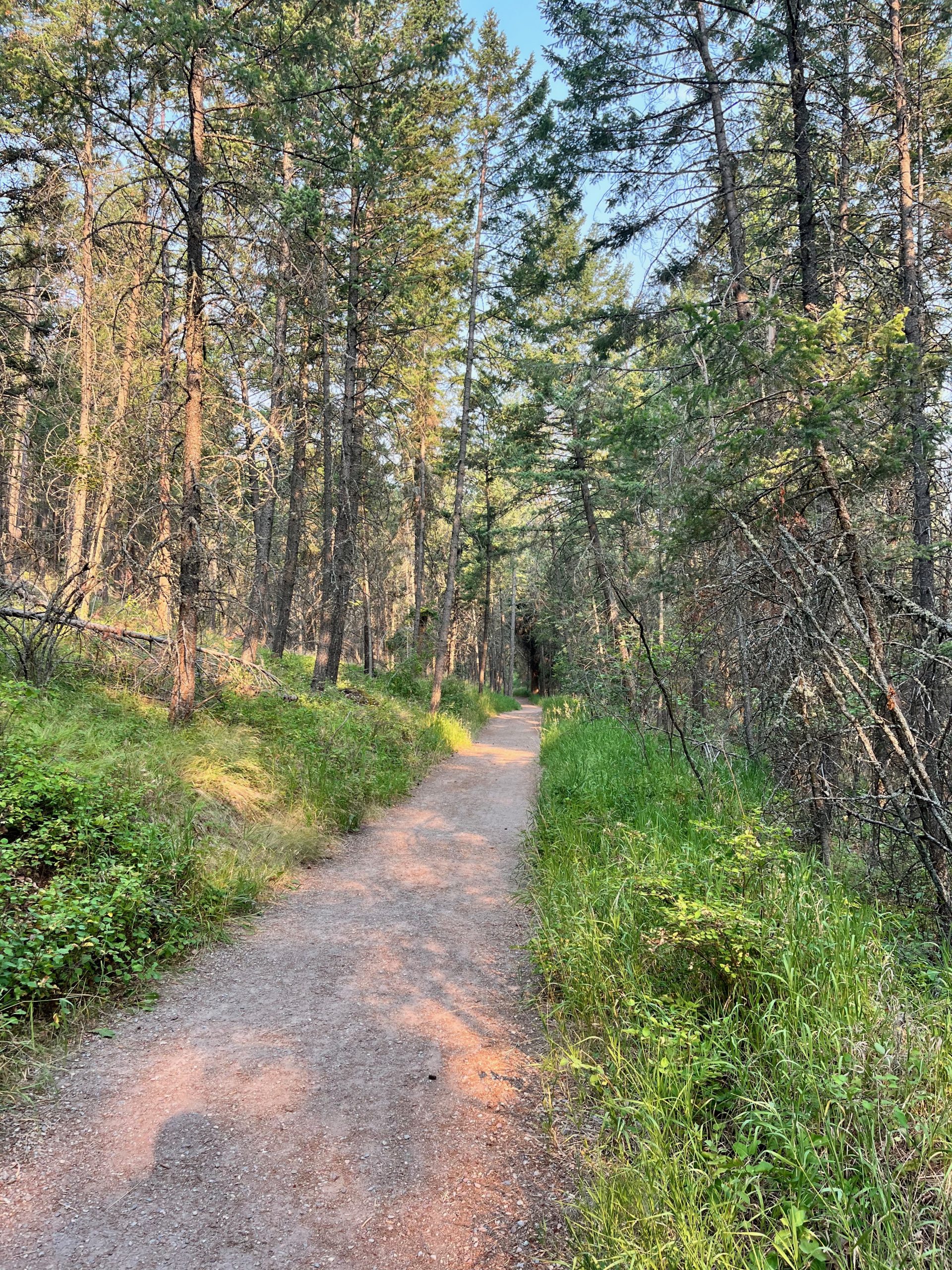 Biker riding away from camera while on Cedar Flats trail system