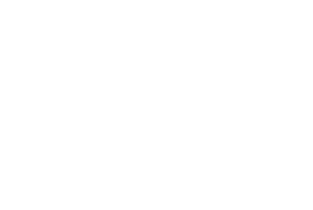 Donate Icon